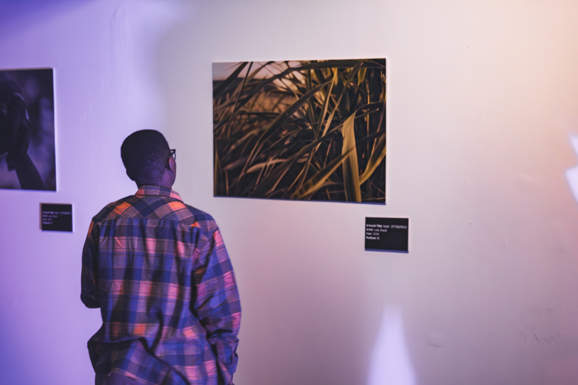 Where The Mind Goes: installation view at Eyedrum